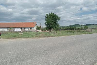Spațiu comercial, de 4,565 mp, în Cunța - 8