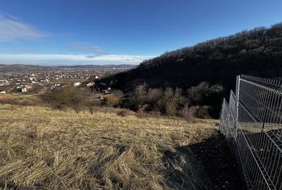 Teren Construcții intravilan de 1153 mp, în Micești - 5