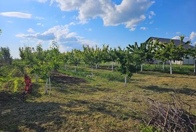 Casa cu teren 1405 mp la Sambateni - 5