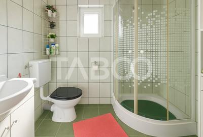 Strada Parului -  Casa de vanzare cu 3 camere Cartier Marmelada - 11