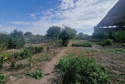 Casa de vanzare in Sannicolau Mare Casa de vanzare in Sannicolau Mare - 10