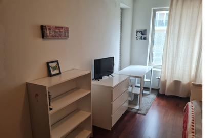 Apartament cu 3 camere decomandat, mobilat în P-ța Alba Iulia - 8
