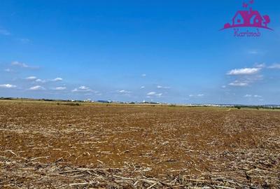 Teren pentru investitii zona Grigorescu - 2