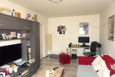 Bd. 1 Mai, Drumetului, 1983, mobilat, utilat - 2