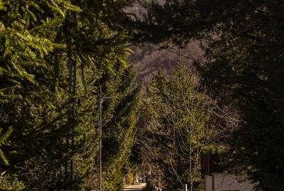 Teren agricol intravilan de 738 mp, în Poiana Mărului - 15