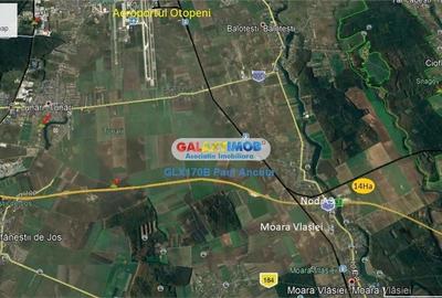 Teren Balotesti Moara Vlasiei 14 Ha acces la Nod  Autostrada A3 - 4
