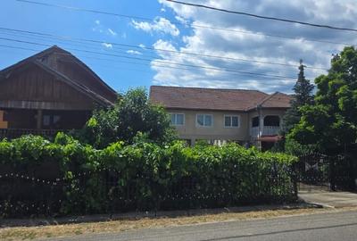 Casa / Pensiune de vanzare – Balta, Gorj - 3