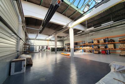 Hala 600 mp, 3,50 e/mp - 1