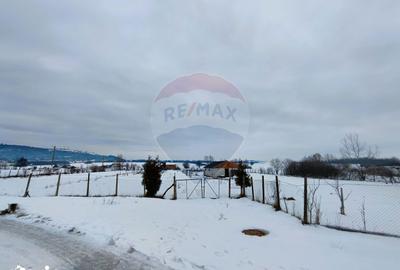 Teren de 9574 mp, în Iacobeni - 4