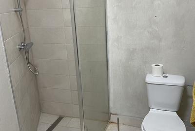 Garsonieră în Kogălniceanu - 4