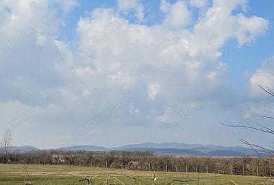 Teren de 6076 mp, în Central - 4