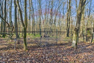 De vanzare | Vila in Paradisul Verde cu gradina si padure proprie | - 22