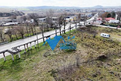 Teren intravilan - Str. Isaccei, 1000MP - 5