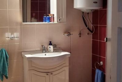 Casa Vila de vanzare, re?edin?a, ferma, Arge? - Valea Topologului. Lini?te, natura ?i aer curat ! - 9