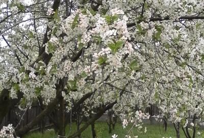 Casă cu 4 camere în Central - 6