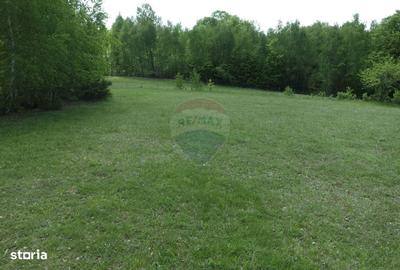 Teren de 7500 mp, în Copalnic