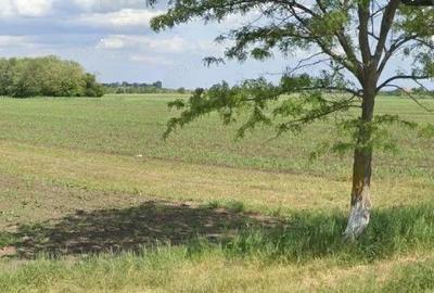 Teren extravilan Cocorastii Colt ; ID: R2710069 - 3