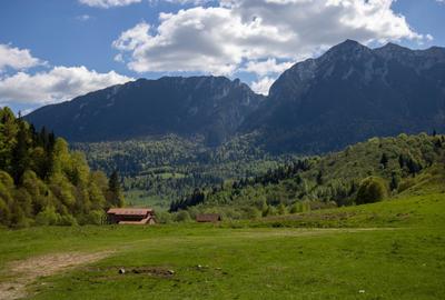 Teren Construcții extravilan de 1893 mp, în Plaiul Foii - 1