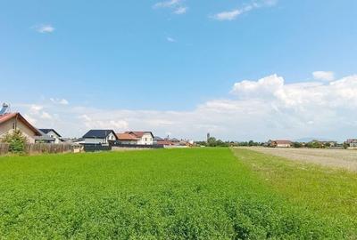 Teren  in Harman,Aleea 14 cu utilitati - 9