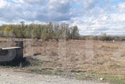 Teren 7240mp, zona Prelungirea Panduri - 1