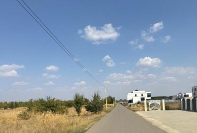 Teren de 5000 mp intravilan în Corbeanca – zonă rezidențială nouă Teren de 5000 mp intravilan în Corbeanca – zonă rezidențială nouă - 6