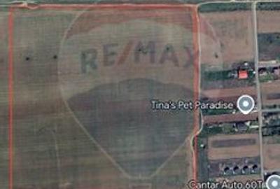 De vanzare Teren 5,680mp Ciorogarla / Strada Fermei - 6