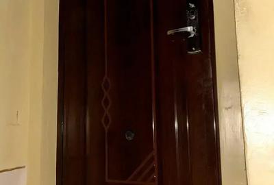 Apartament 2 camere, semidecomandat, 48 mp - 6