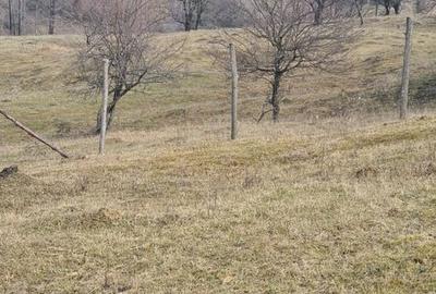 Teren de 4200 mp, în Drajna - 3