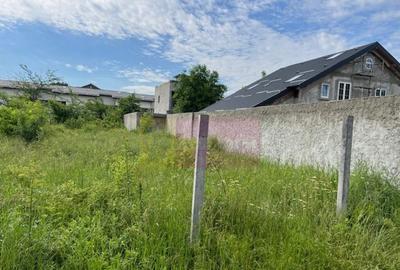 Teren Ghencea- Dantelei- Darvari. Teren Ghencea- Dantelei- Darvari. - 2