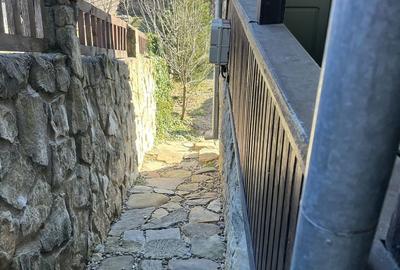 Casă cu 3 camere în Gura Teghii - 7