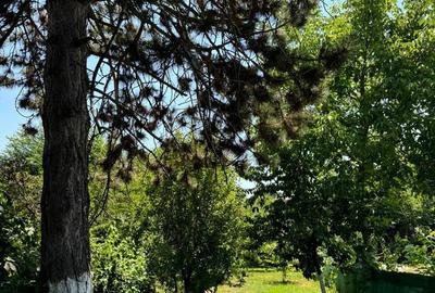 Casa in Campina,zona centrala - 2