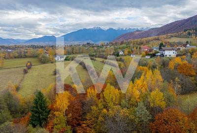 Teren intravilan I Gata de construit I 985 mp I Tohanita - 5