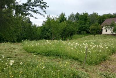 Teren intravilan Drajna 4062mp - 7