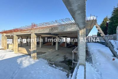Spațiu comercial, de 2,500 mp, în 700 - 3