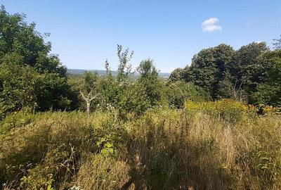 Teren Construcții intravilan de 5500 mp, în Vest - 2