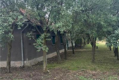 Casă cu 3 camere cu Teren 2268 Mp în Talpoș - 7