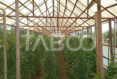 Casă cu 3 camere cu Teren 1130 Mp în Central - 3