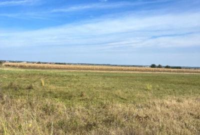 Teren extravilan, 2480 mp, Radauti - 6