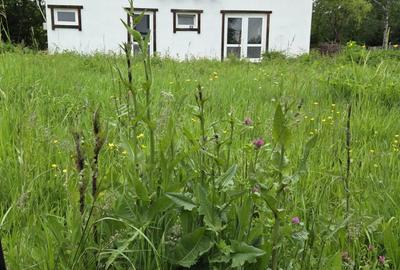 Casă cu 4 camere cu Teren 460 Mp în Brebu - 5