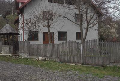 Vila la gri Cerasu Prahova - 1