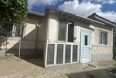 EXCLUSIVITATE! Casa 3 camere - Mihail Kogalniceanu - 55.000 euro negociabil (E8) - 15