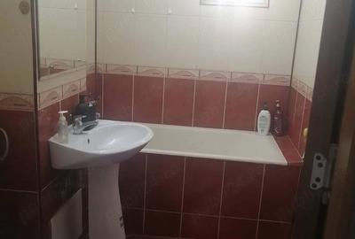 Apartament cu 2 camere semidecomandat în Lacul Tei - 3