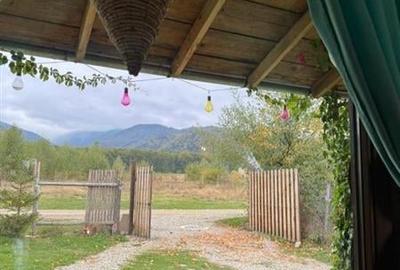 FILM! Resedinte montane,mobilate,echipate, jacuzzi,piscina,pretios areal,Sambata - 17