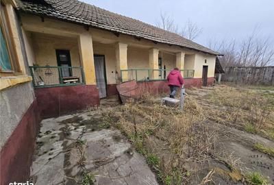 Casă cu 3 camere cu Teren 7900 Mp în Ciumeghiu - 8