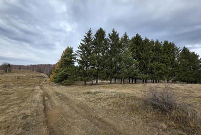 Teren de 4290 mp, în Gărâna - 3