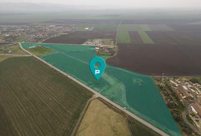 Teren 76.000mp intre Santana ?i Caporal Alexa - 3