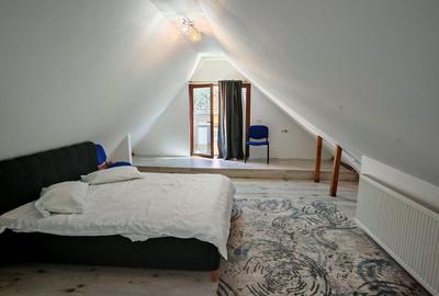 Vila 10 camere,pretabil compartimentare in 2 unitati separate,ASTRA. - 12