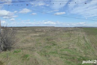 Teren de 4400 mp, în Tărtășești