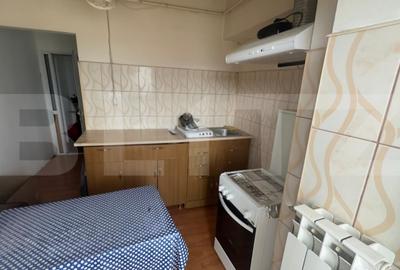 Garsonieră decomandată, mobilată în Nicolina - 3