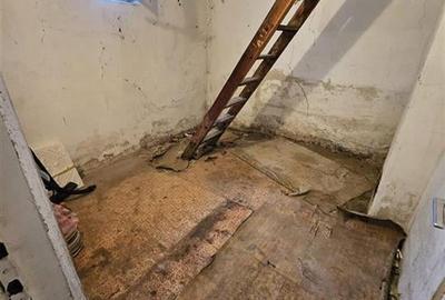 RECO Casa cu 2 camere , anexe gospodaresti si teren in Salonta - 10